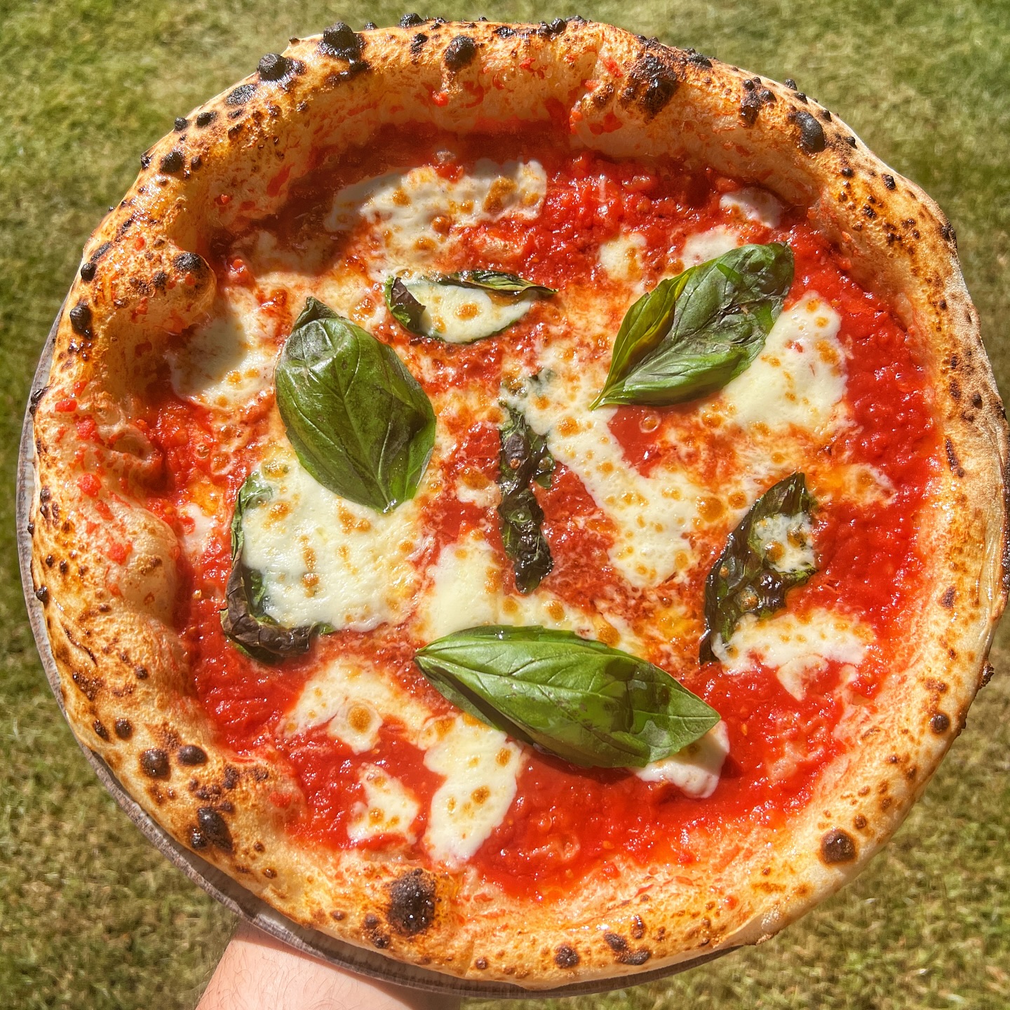 Pizza Margherita